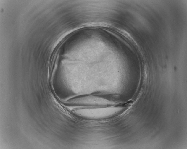 X0000053081228200508011957