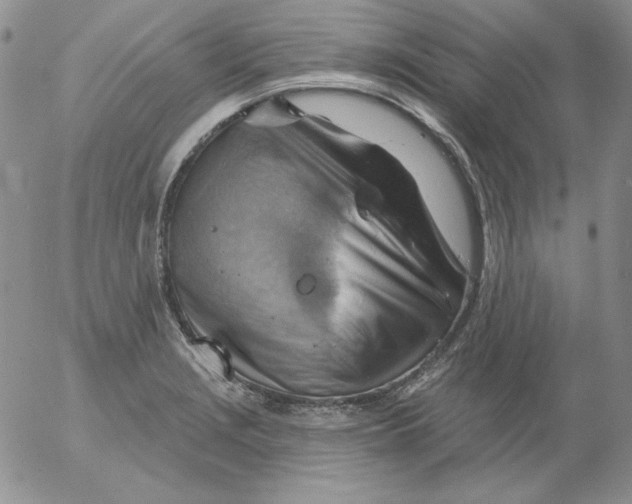 X0000053081229200508011958