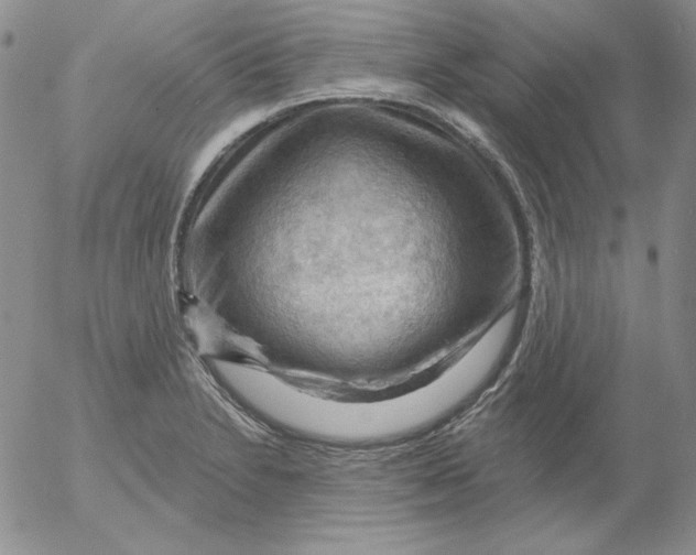 X0000053081230200508011958