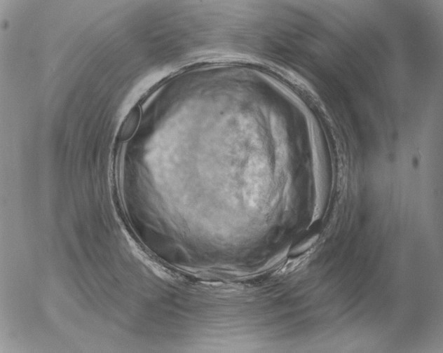 X0000053081231200508011958