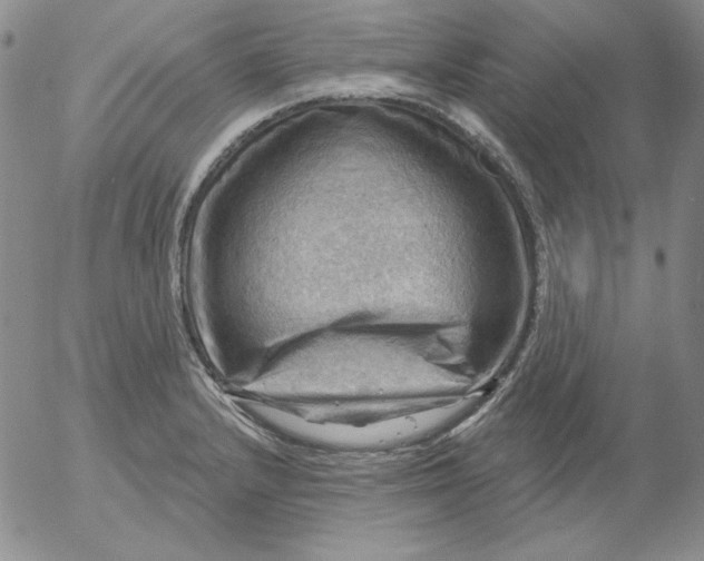 X0000053081232200508011958