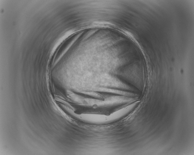 X0000053081235200508011958