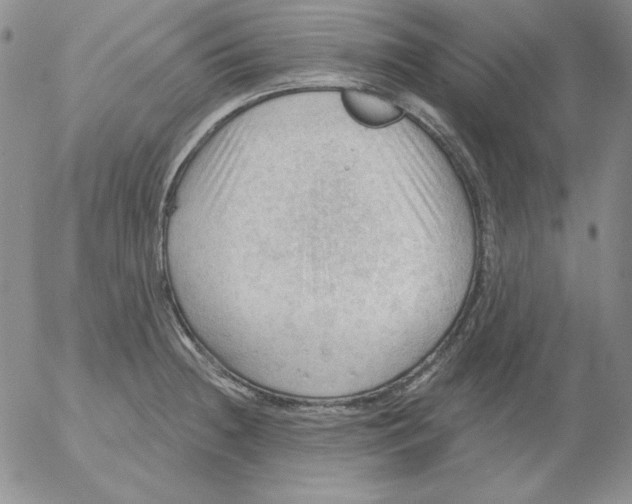 X0000053081236200508011958