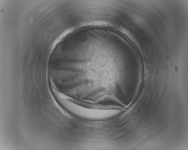 X0000053081237200508011958