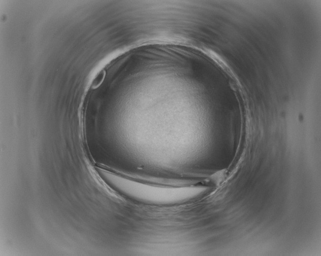 X0000053081238200508011958