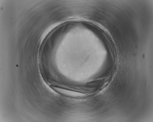 X0000053081239200508011958