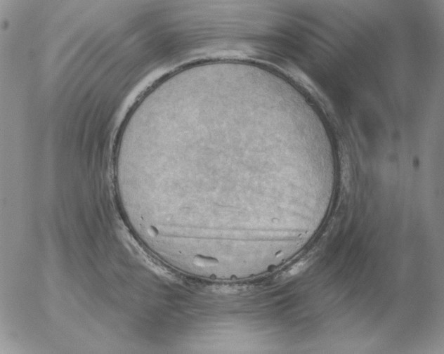 X0000053081240200508011958