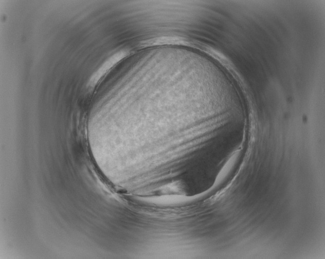 X0000053081241200508011958