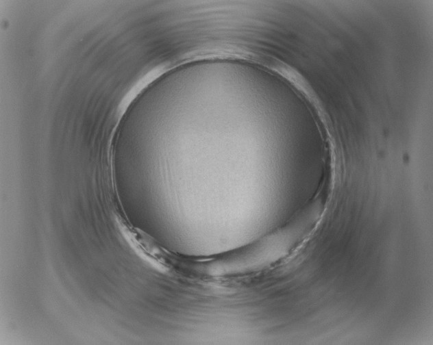 X0000053081242200508011958