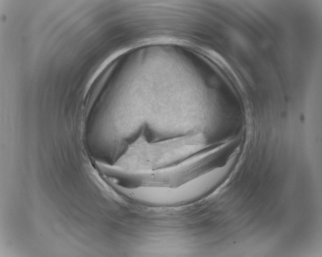 X0000053081244200508011958