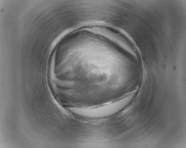 X0000053081245200508011958