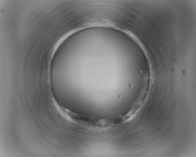 X0000053081246200508011958