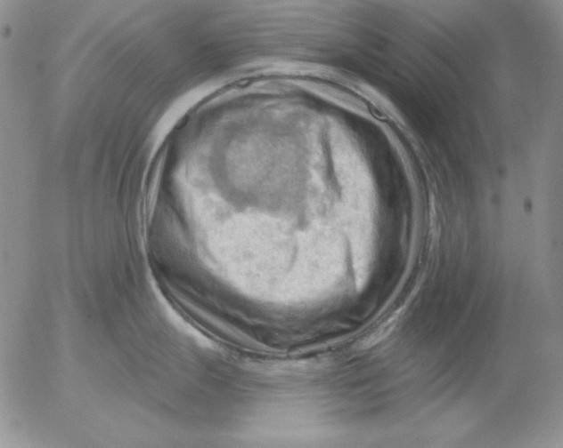 X0000053081247200508011958