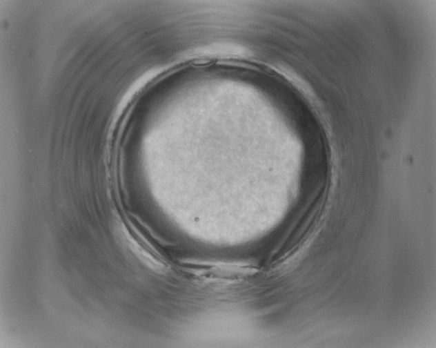 X0000053081248200508011958