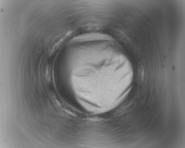 X0000053081250200508011957