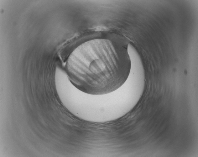 X0000053081251200508011957