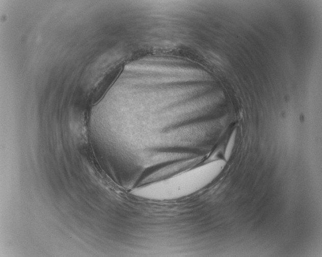 X0000053081252200508011957