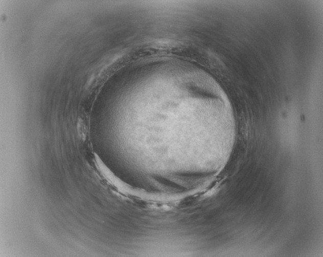 X0000053081253200508011957