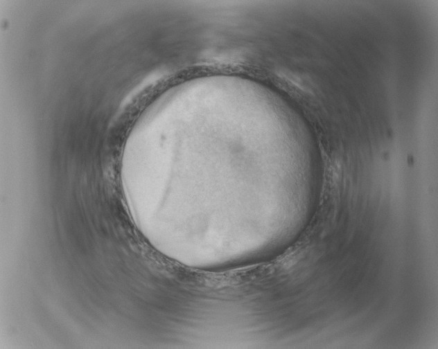 X0000053081254200508011957