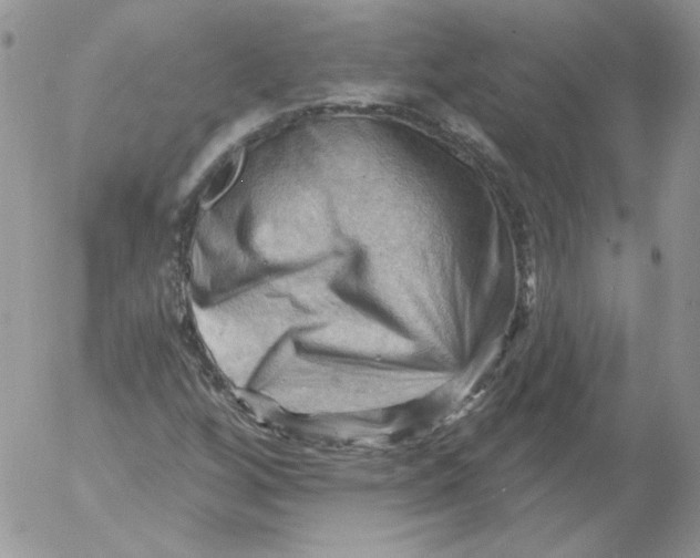 X0000053081256200508011957