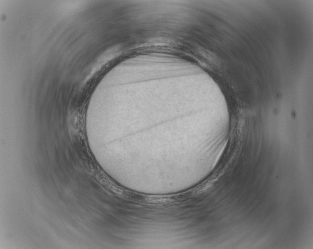 X0000053081258200508011957