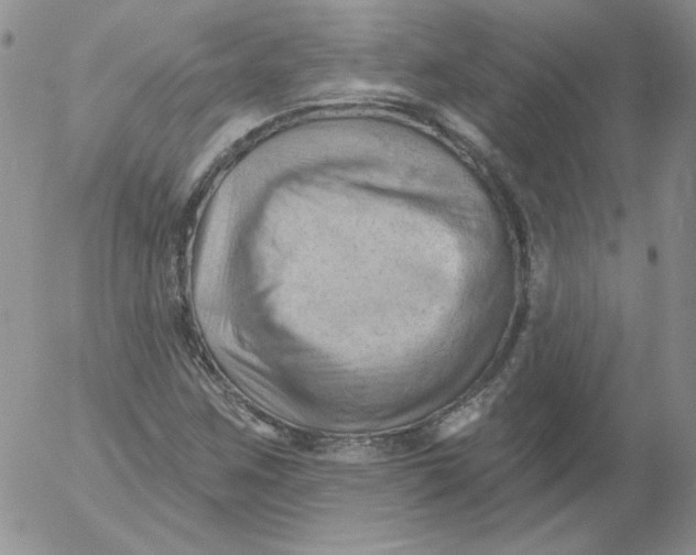 X0000053081259200508011957