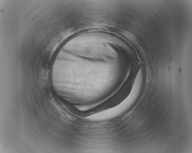 X0000053081260200508011957