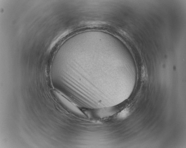 X0000053081261200508011957