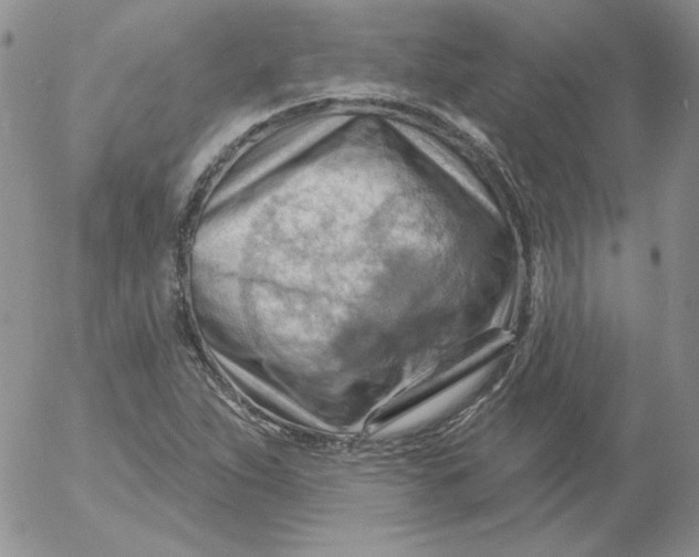 X0000053081263200508011957