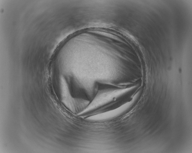 X0000053081264200508011957