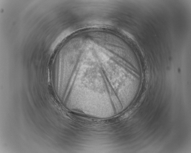 X0000053081267200508011957