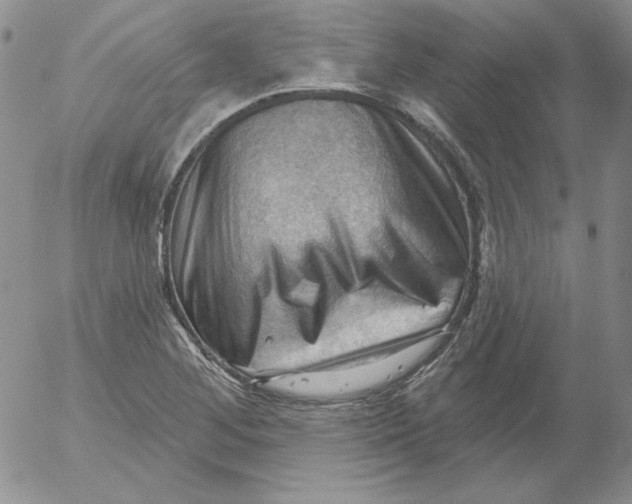 X0000053081268200508011957