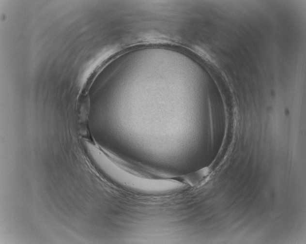 X0000053081269200508011957