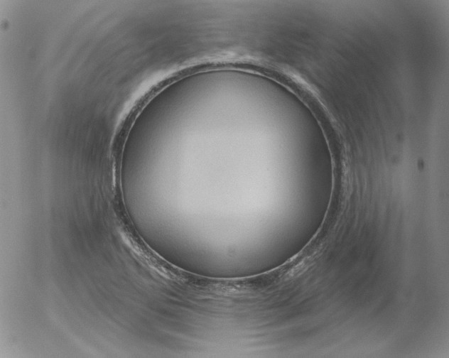 X0000053081270200508011957