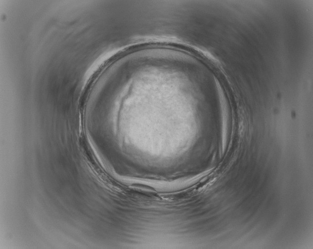 X0000053081271200508011957