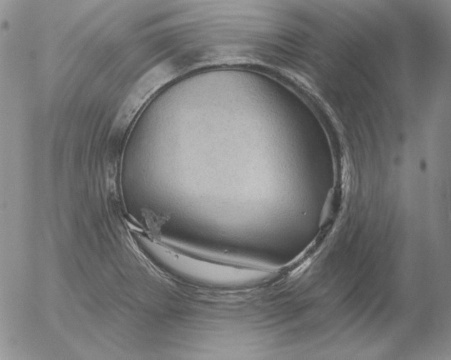 X0000053081273200508011957