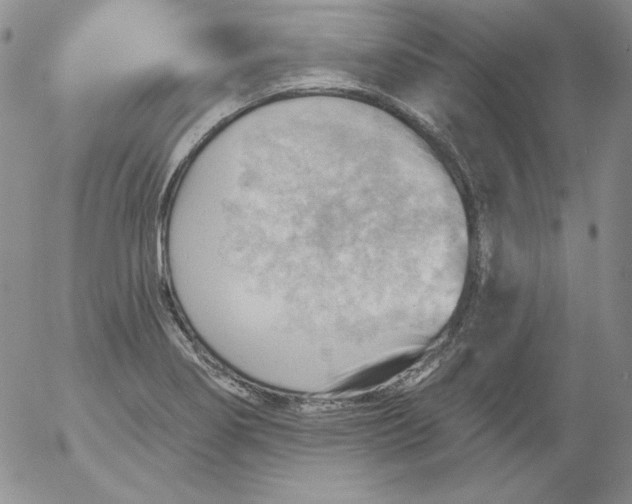 X0000053081274200508011956