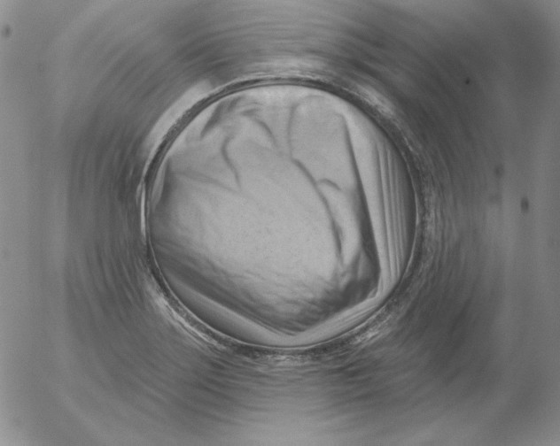 X0000053081275200508011956