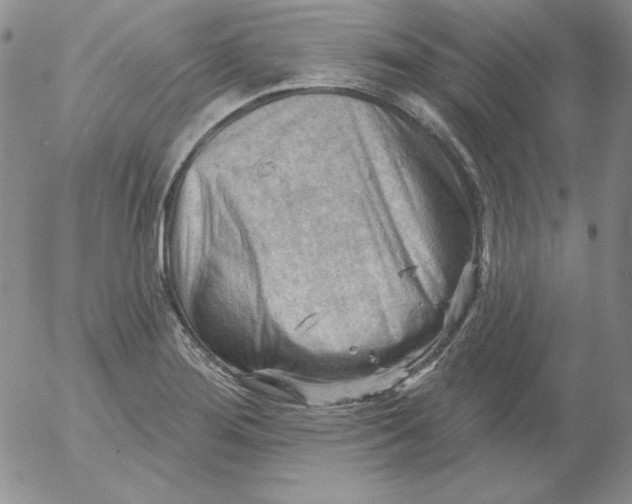 X0000053081276200508011956