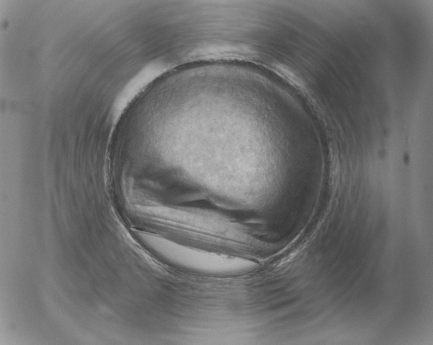 X0000053081277200508011956