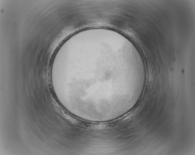 X0000053081278200508011956