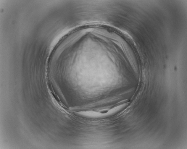 X0000053081279200508011956