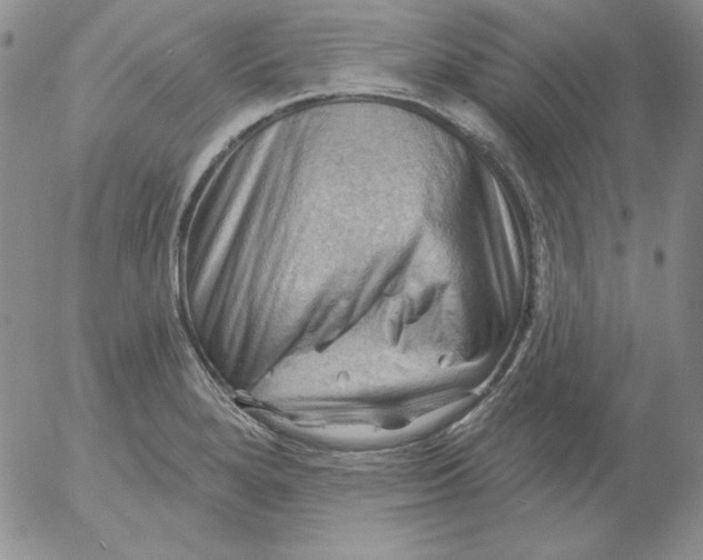 X0000053081280200508011956