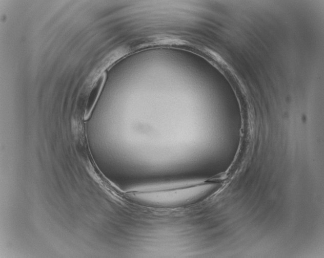 X0000053081281200508011956