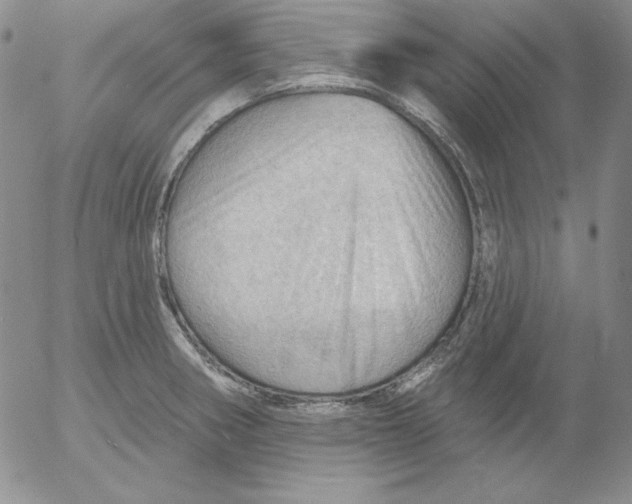 X0000053081282200508011956