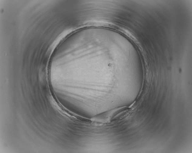 X0000053081283200508011956