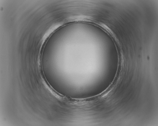 X0000053081285200508011956