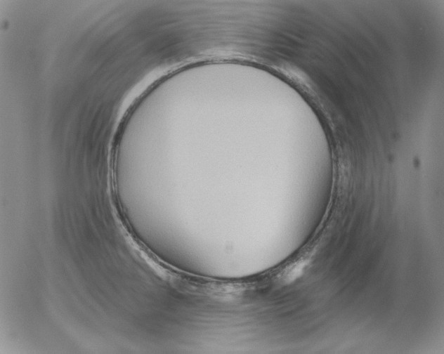 X0000053081286200508011956