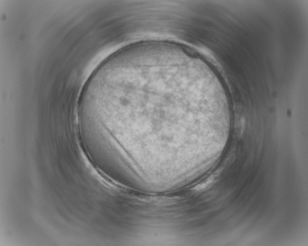 X0000053081287200508011956