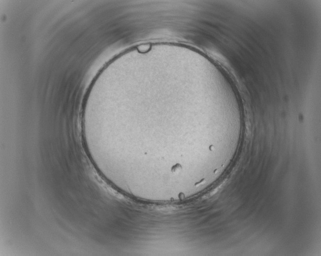 X0000053081288200508011956